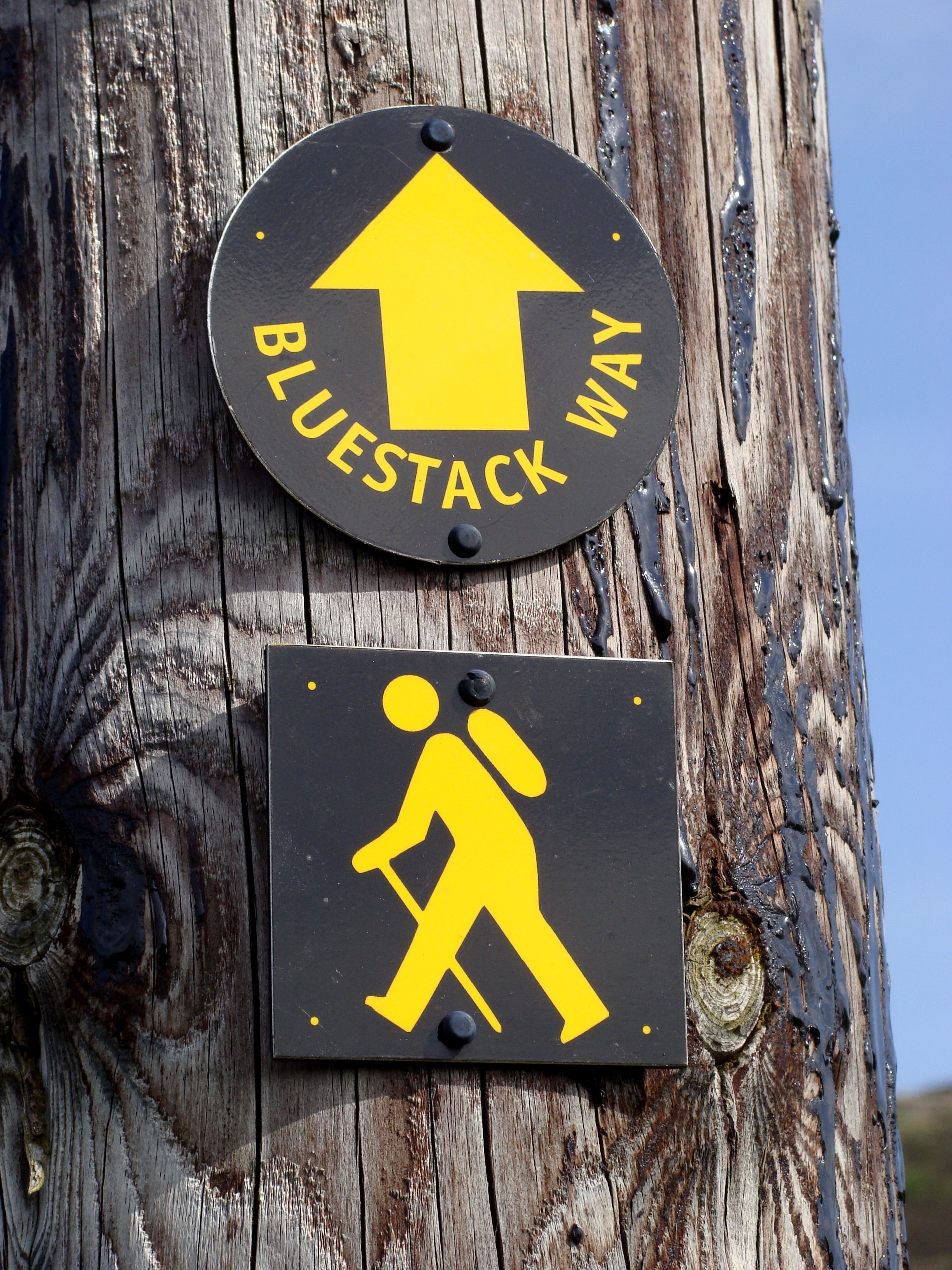 260. Bluestack Way markers close up