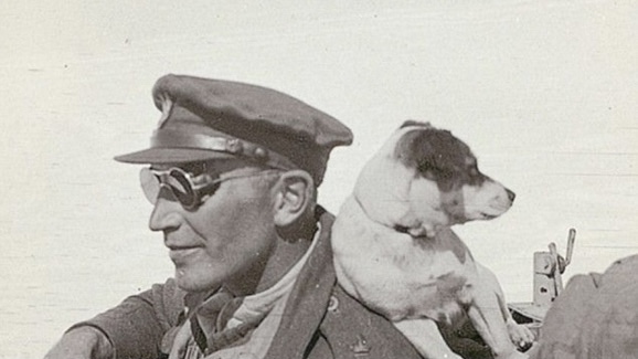 Paddy Mayne